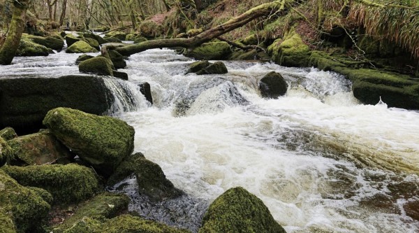 JPT 887F 2 Digital Download